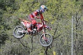 ROB_1595 (Copy)